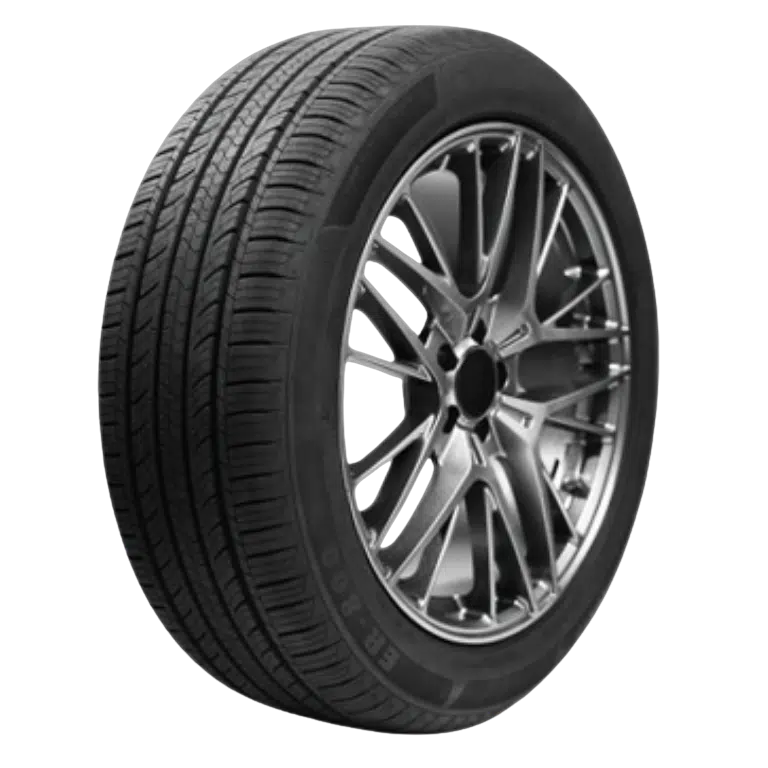 Advanta 205:55ZR16 HPZ 02